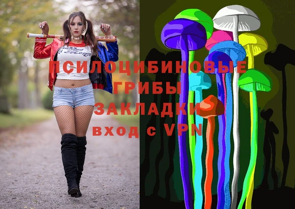 дживик Богородицк