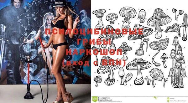 прущие крисы Сатка